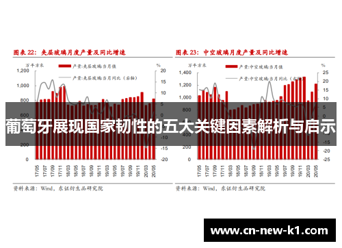 葡萄牙展现国家韧性的五大关键因素解析与启示