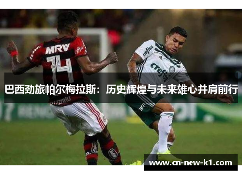 巴西劲旅帕尔梅拉斯：历史辉煌与未来雄心并肩前行