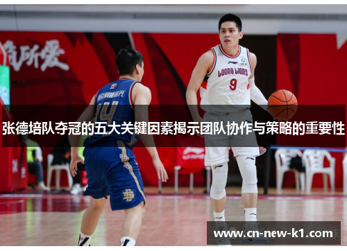 张德培队夺冠的五大关键因素揭示团队协作与策略的重要性
