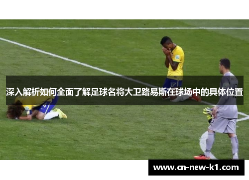 深入解析如何全面了解足球名将大卫路易斯在球场中的具体位置