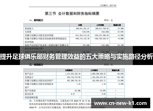 提升足球俱乐部财务管理效益的五大策略与实施路径分析